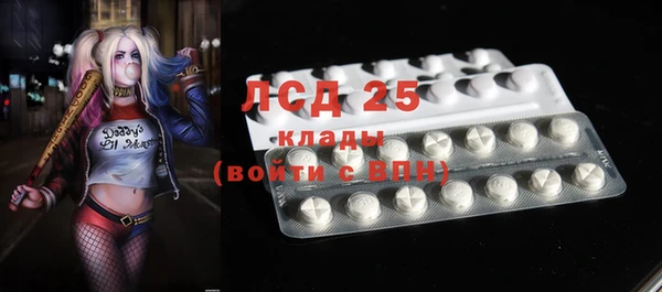 спайс Арсеньев
