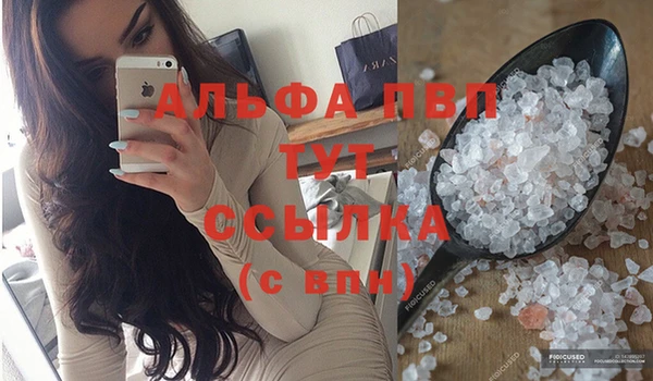 спайс Арсеньев