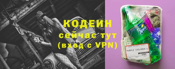 спайс Арсеньев