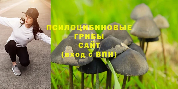 ECSTASY Армянск