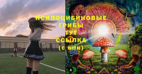 ECSTASY Армянск
