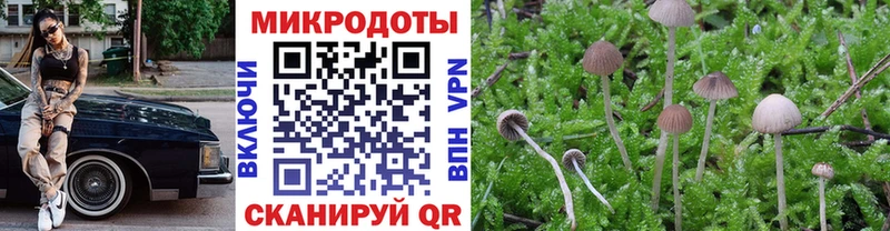дарнет шоп Печоры Псилоцибиновые грибы мицелий